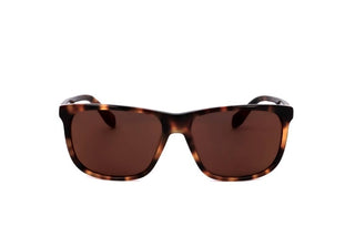 Adidas Originals OR0040 men Havana Geometric Sunglasses