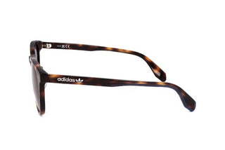 Adidas Originals OR0042-H men Havana Round Sunglasses