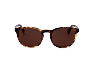 Adidas Originals OR0042-H men Havana Round Sunglasses