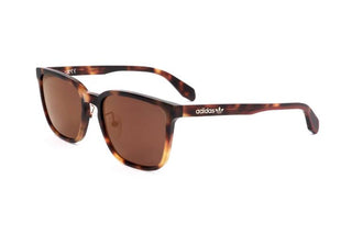 Adidas Originals OR0043-H men Havana Geometric Sunglasses