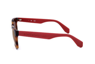 Adidas Originals OR0044 unisex Havana Squared Sunglasses