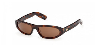 Adidas Originals OR0139 unisex Havana Geometric Sunglasses