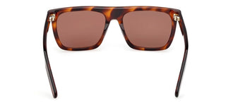 Adidas Originals Or0140 Unisex Havana Rectangle Sunglasses