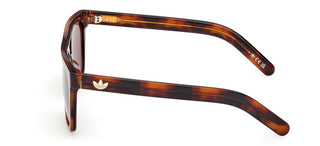 Adidas Originals Or0140 Unisex Havana Rectangle Sunglasses