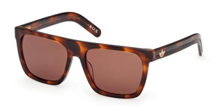 Adidas Originals Or0140 Unisex Havana Rectangle Sunglasses