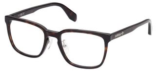 Adidas Originals OR5015-H men Havana Geometric Eyeglasses