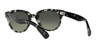 Ray-Ban ORION RB 2199 unisex Grey Round Sunglasses