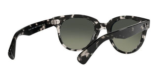 Ray-Ban ORION RB 2199 unisex Grey Round Sunglasses