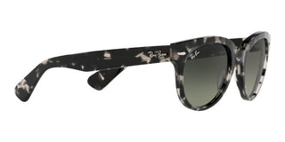 Ray-Ban ORION RB 2199 unisex Grey Round Sunglasses