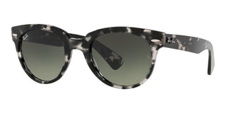 Ray-Ban ORION RB 2199 unisex Grey Round Sunglasses