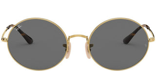 Ray-Ban OVAL RB 1970 unisex Gold Round Sunglasses