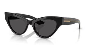Oliver Peoples OV 5573SU women Black Cat Eye Sunglasses