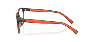 Polo Ralph Lauren Ph4228u Men  Squared Sunglasses