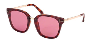 Tom Ford PHILIPPA-02 FT 1014 women Havana Pantos Sunglasses