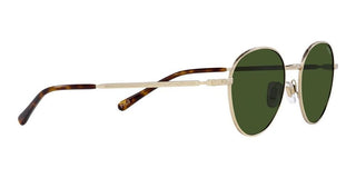 Polo Ralph Lauren PH 3144 men Gold Round Sunglasses