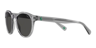 Polo Ralph Lauren PH 4192 men Grey Round Sunglasses