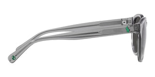 Polo Ralph Lauren PH 4192 men Grey Round Sunglasses