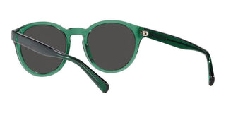 Polo Ralph Lauren PH 4192 men Green Round Sunglasses