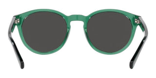 Polo Ralph Lauren PH 4192 men Green Round Sunglasses