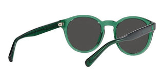 Polo Ralph Lauren PH 4192 men Green Round Sunglasses