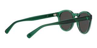 Polo Ralph Lauren PH 4192 men Green Round Sunglasses