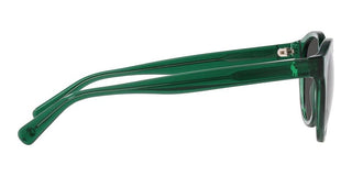 Polo Ralph Lauren PH 4192 men Green Round Sunglasses