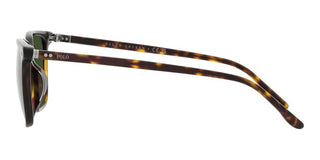 Polo Ralph Lauren PH 4194U men Havana Squared Sunglasses