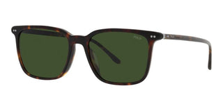 Polo Ralph Lauren PH 4194U men Havana Squared Sunglasses