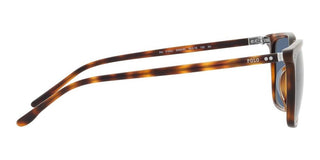 Polo Ralph Lauren PH 4194U men Havana Squared Sunglasses