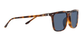 Polo Ralph Lauren PH 4194U men Havana Squared Sunglasses