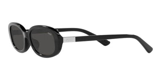 Polo Ralph Lauren PH 4198U women Black Geometric Sunglasses