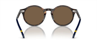 Polo Ralph Lauren PH 4204U men Havana Round Sunglasses