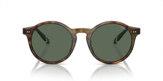 Polo Ralph Lauren PH 4204U men Brown Round Sunglasses