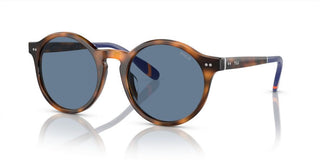 Polo Ralph Lauren PH 4204U men Havana Round Sunglasses