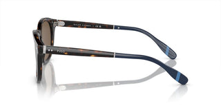 Polo Ralph Lauren PH 4206 men Havana Pantos Sunglasses