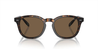 Polo Ralph Lauren PH 4206 men Havana Pantos Sunglasses