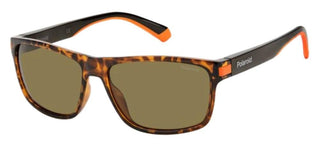 Polaroid PLD 2121/S men Havana Rectangle Sunglasses
