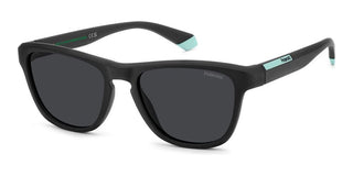 Polaroid PLD 2168/S men Black Pantos Sunglasses
