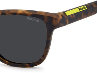 Polaroid PLD 2168/S men 0 Pantos Sunglasses
