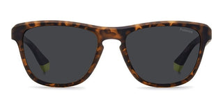 Polaroid PLD 2168/S men 0 Pantos Sunglasses