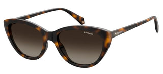 Polaroid PLD 4080/S women Havana Squared Sunglasses