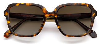 Polaroid PLD 4095/S/X women Havana Butterfly Sunglasses