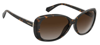 Polaroid PLD 4097/S women Havana Butterfly Sunglasses