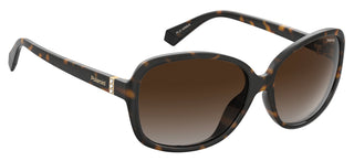 Polaroid PLD 4098/S women Havana Butterfly Sunglasses