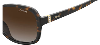 Polaroid PLD 4098/S women Havana Butterfly Sunglasses
