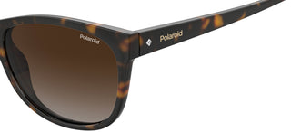 Polaroid PLD 4099/S women Havana Cat Eye Sunglasses