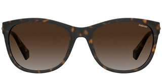Polaroid PLD 4099/S women Havana Cat Eye Sunglasses