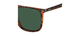 Polaroid PLD 4123/S men Havana Squared Sunglasses