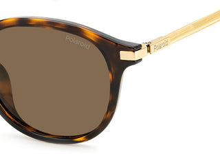 Polaroid PLD 4148/G/S/X unisex Havana Squared Sunglasses
