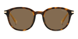 Polaroid PLD 4148/G/S/X unisex Havana Squared Sunglasses
